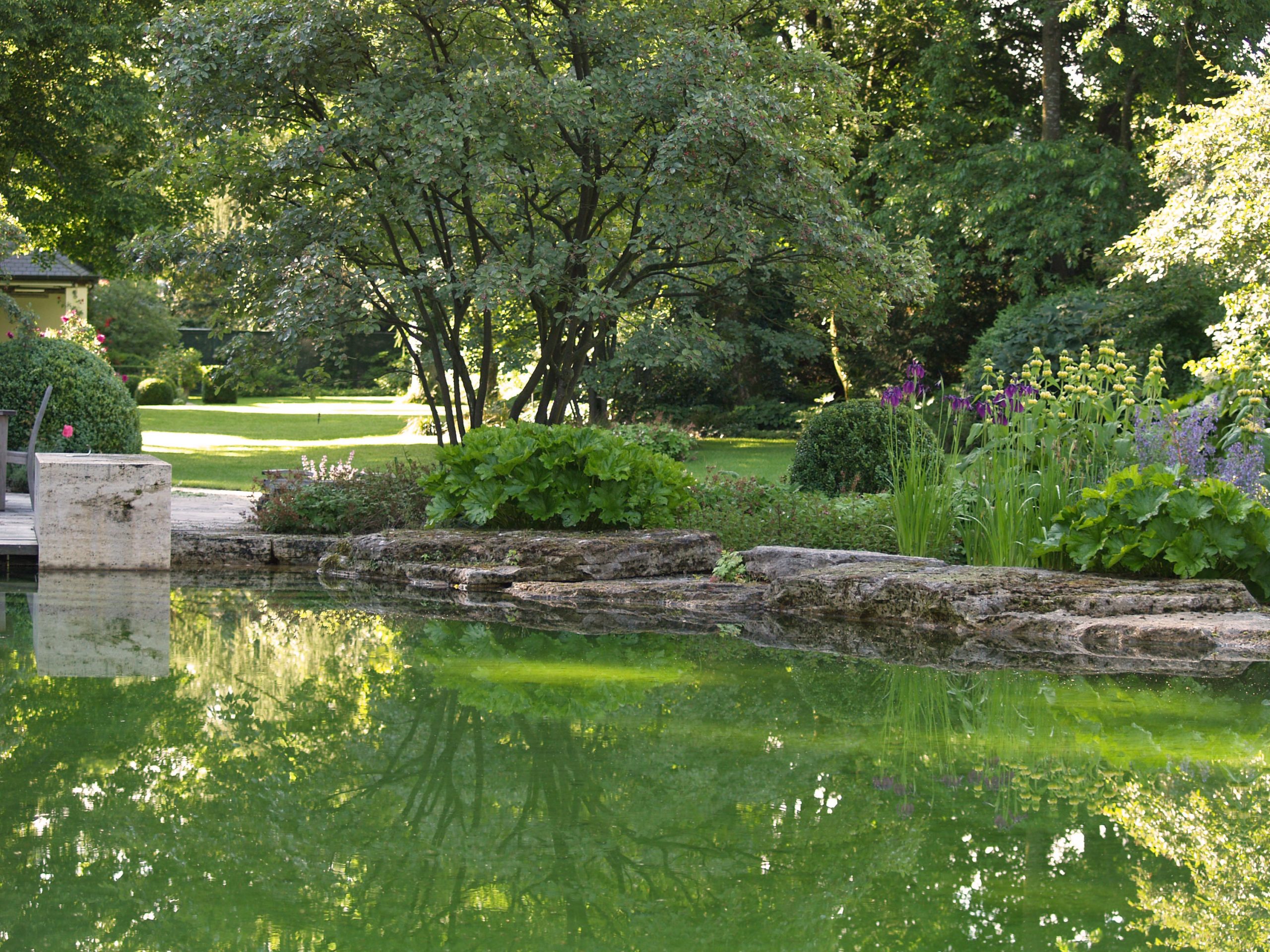 Badeteich_Muenchen_Gartenarchitektur_Naturstein_Trendgruen_3000px