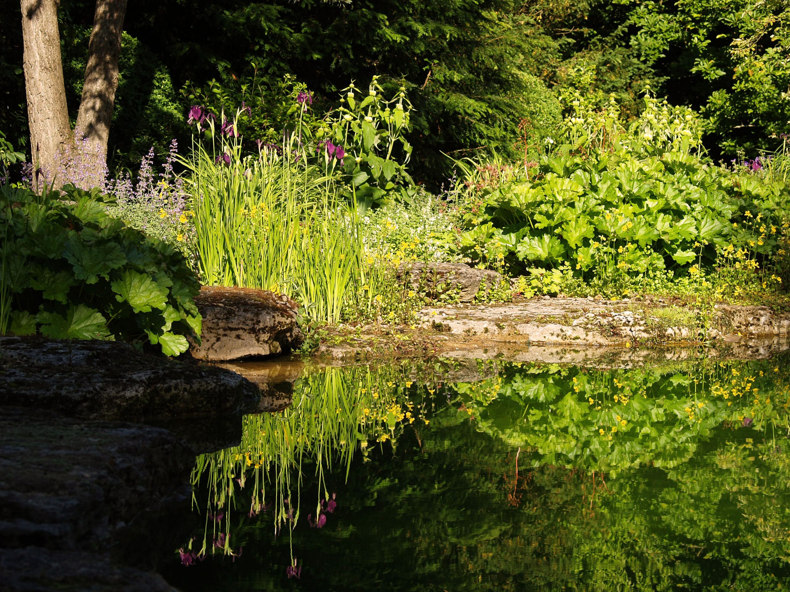 Badeteich_Muenchen_Gartenarchitektur_Schattenspiel_Trendgruen_3000px