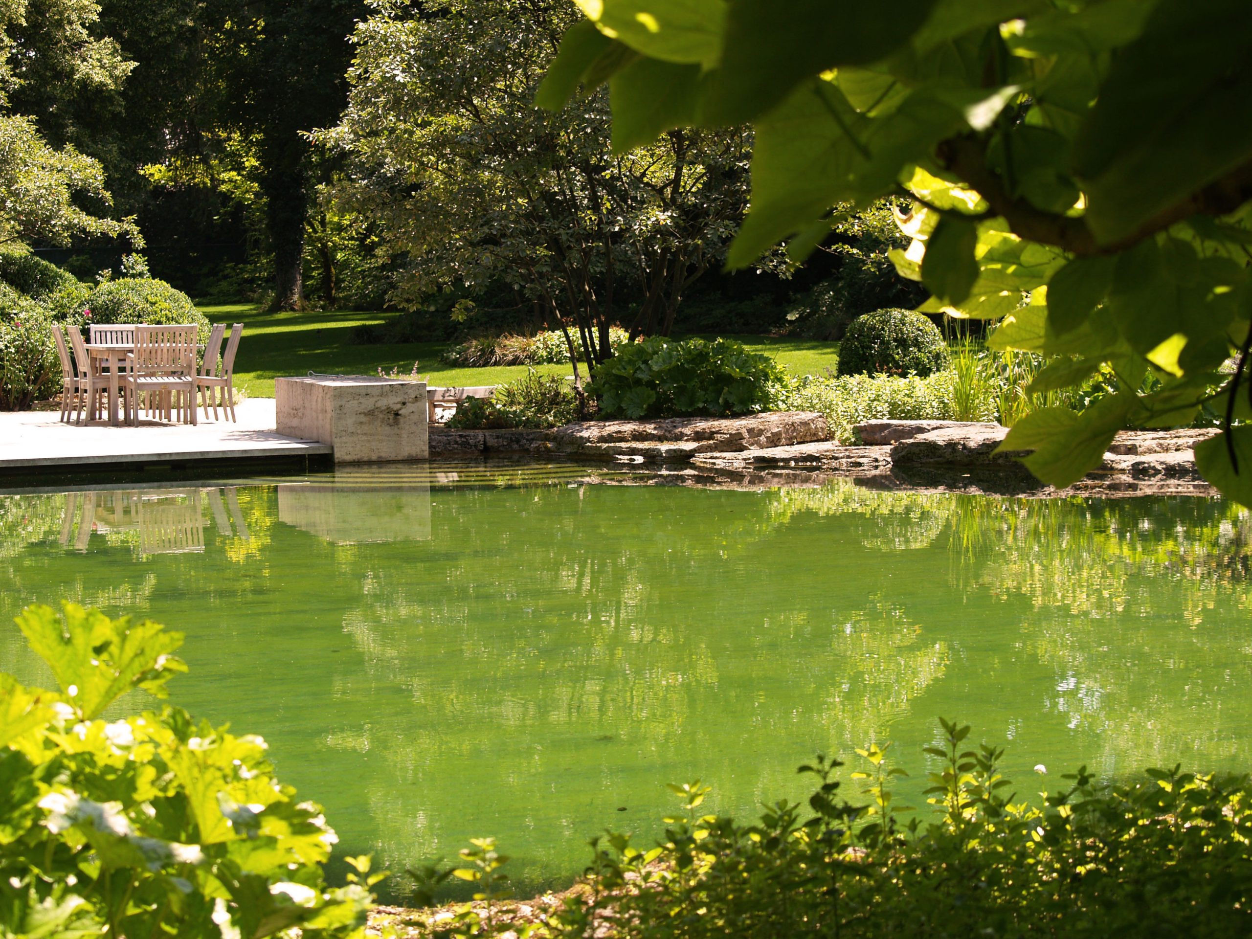Badeteich_Muenchen_Gartenarchitektur_SchwimmteichTrendgruen_3000px