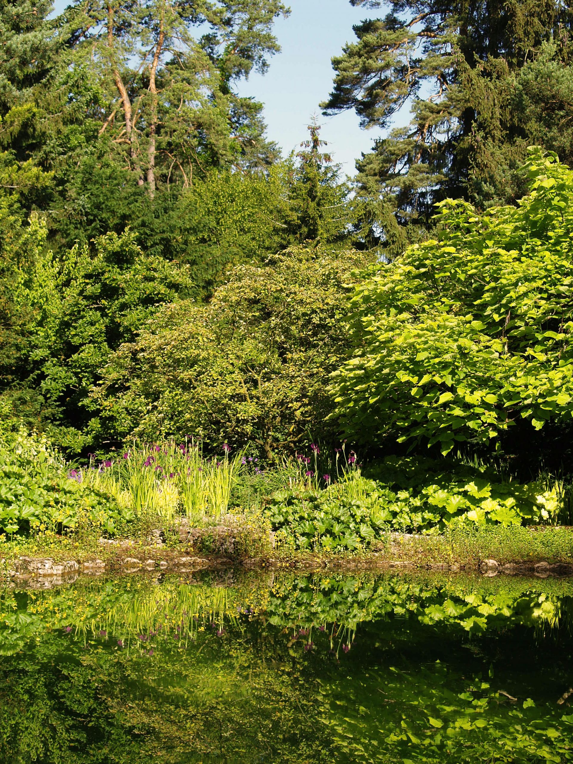 Badeteich_Muenchen_Gartenarchitektur_Trendgruen_2000px
