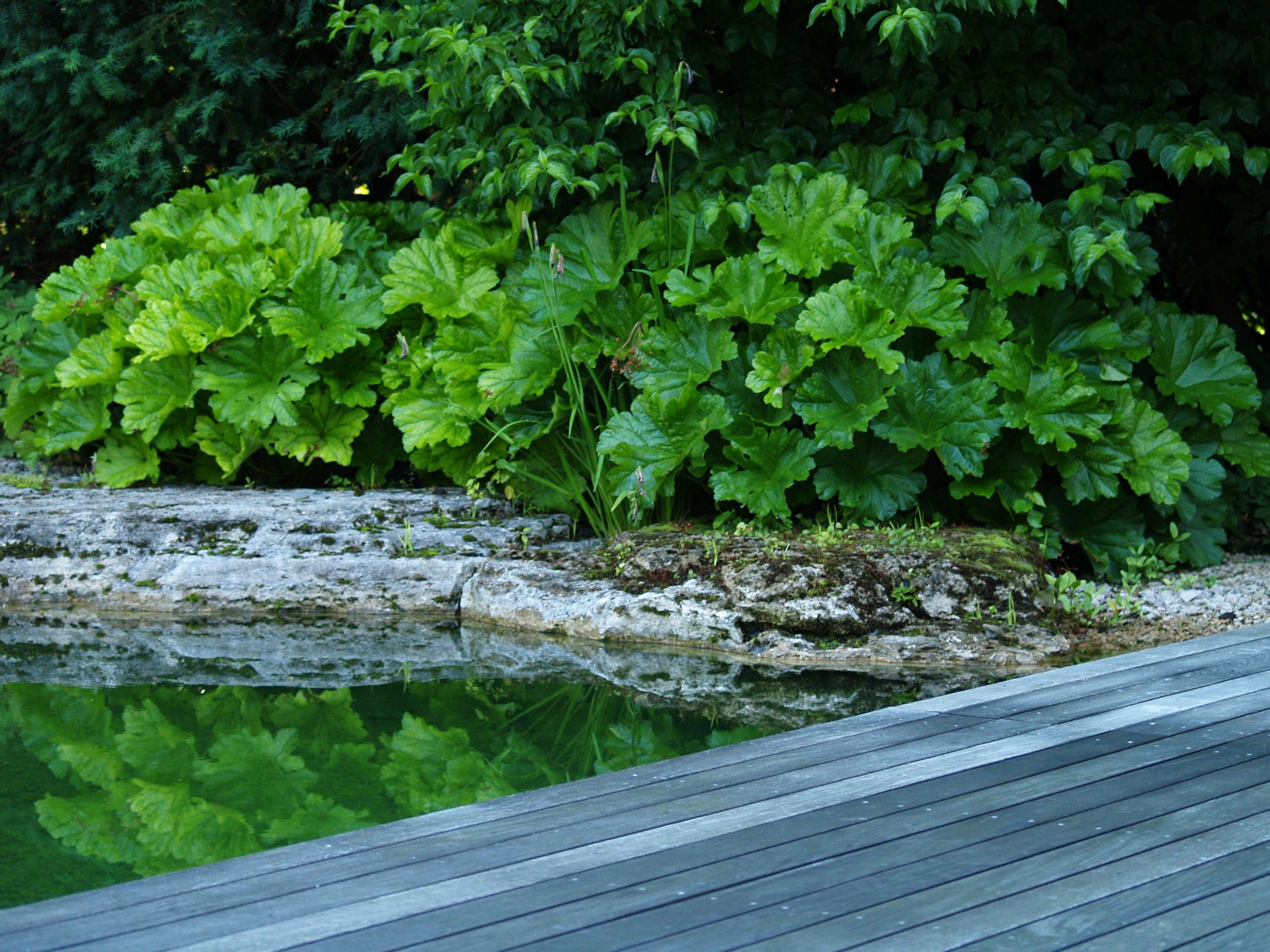 Badeteich_Muenchen_Gartenarchitektur_Ufer2_Trendgruen_3000px