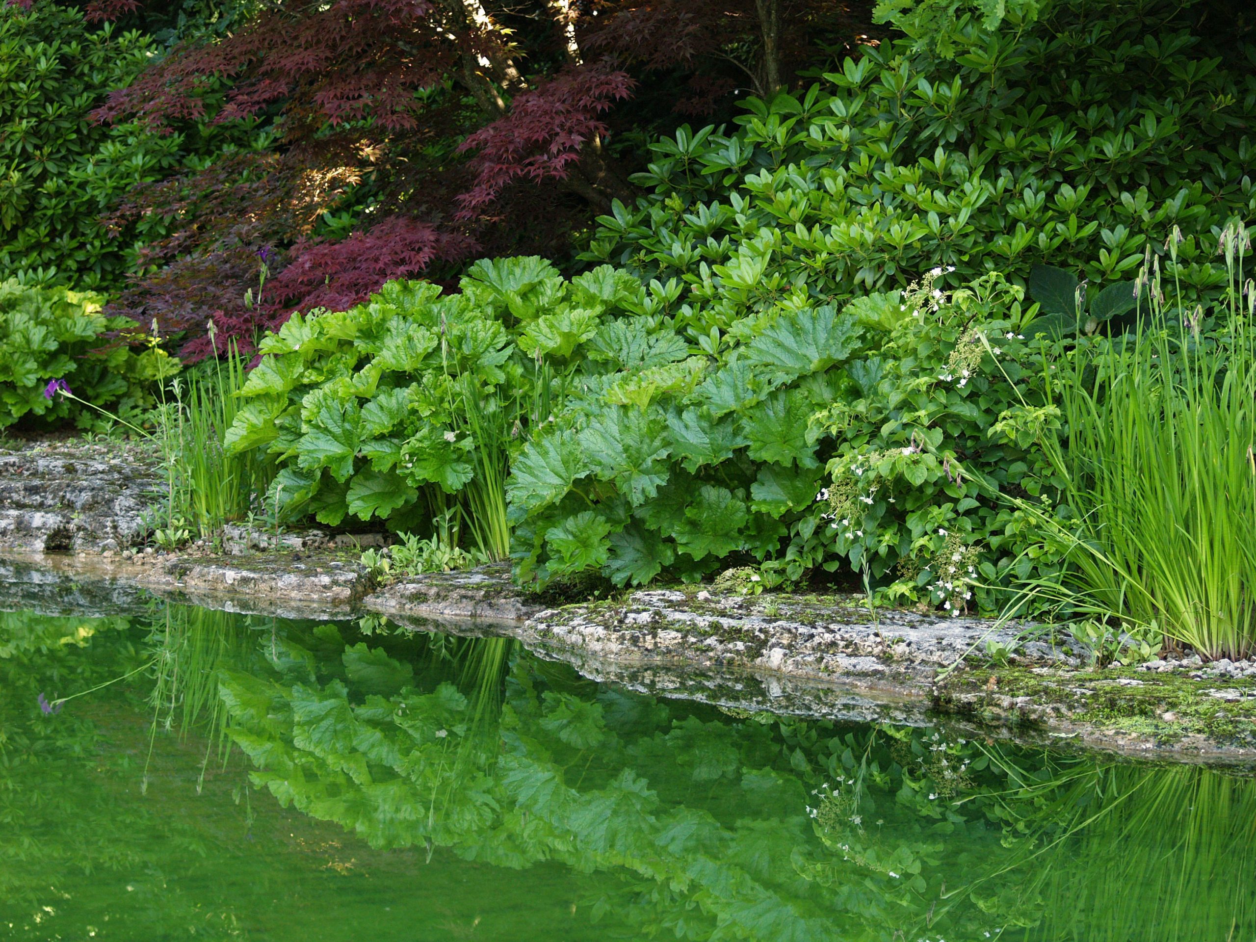 Badeteich_Muenchen_Gartenarchitektur_Ufer3_Trendgruen_3000px