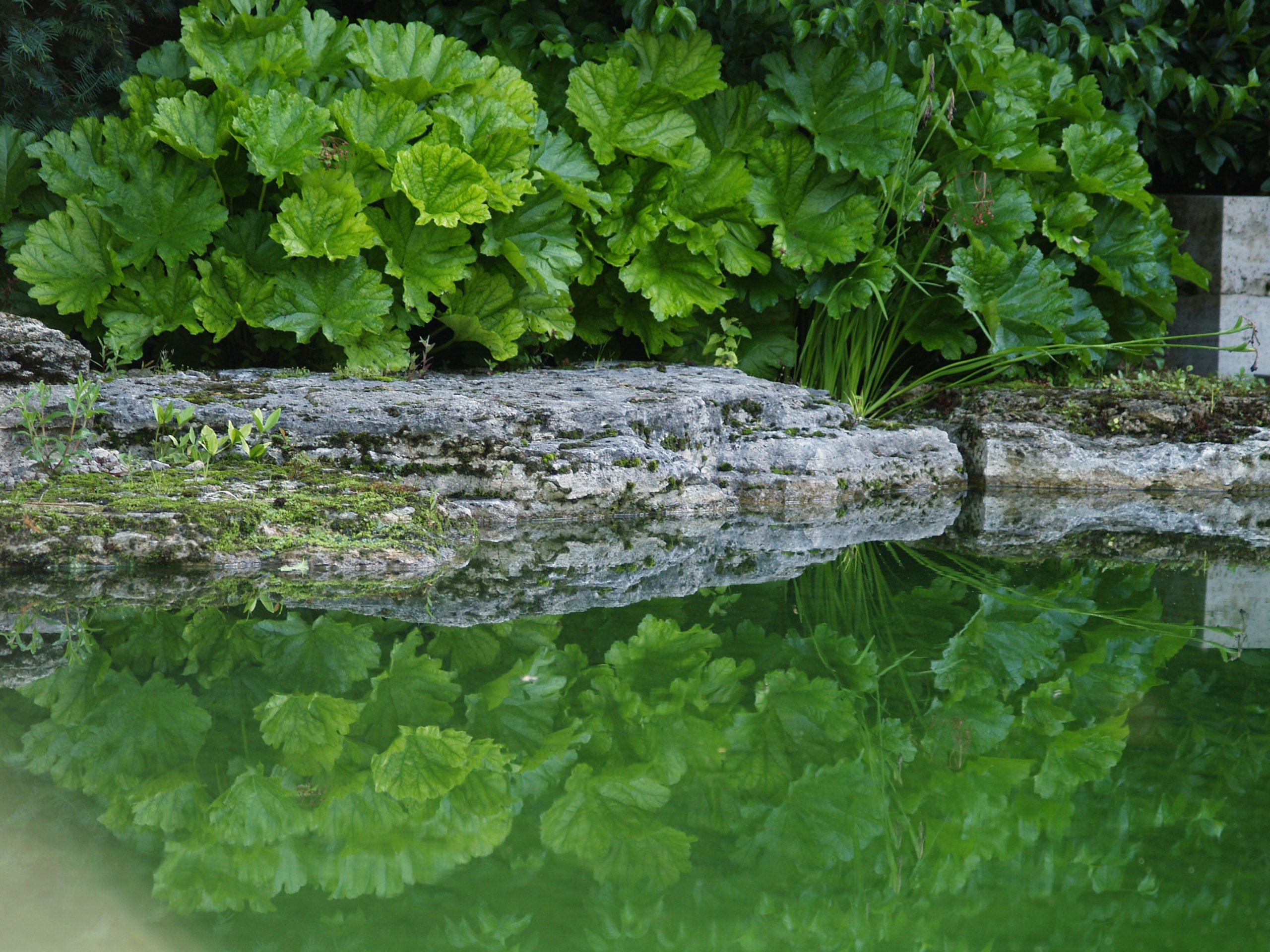 Badeteich_Muenchen_Gartenarchitektur_Ufer_Trendgruen_3000px