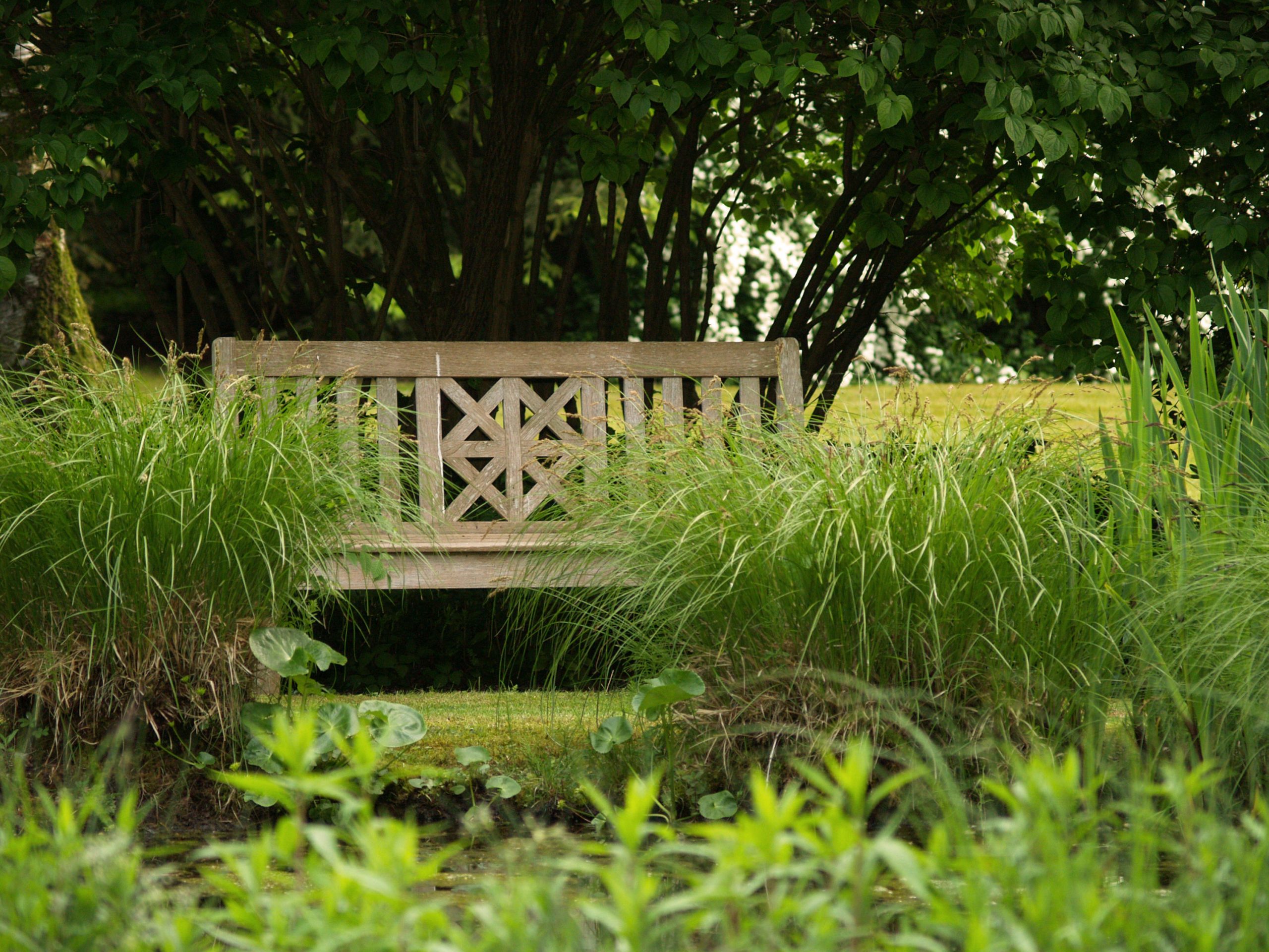 Parkgarten_Erding_Bank_trendgruen_3000px