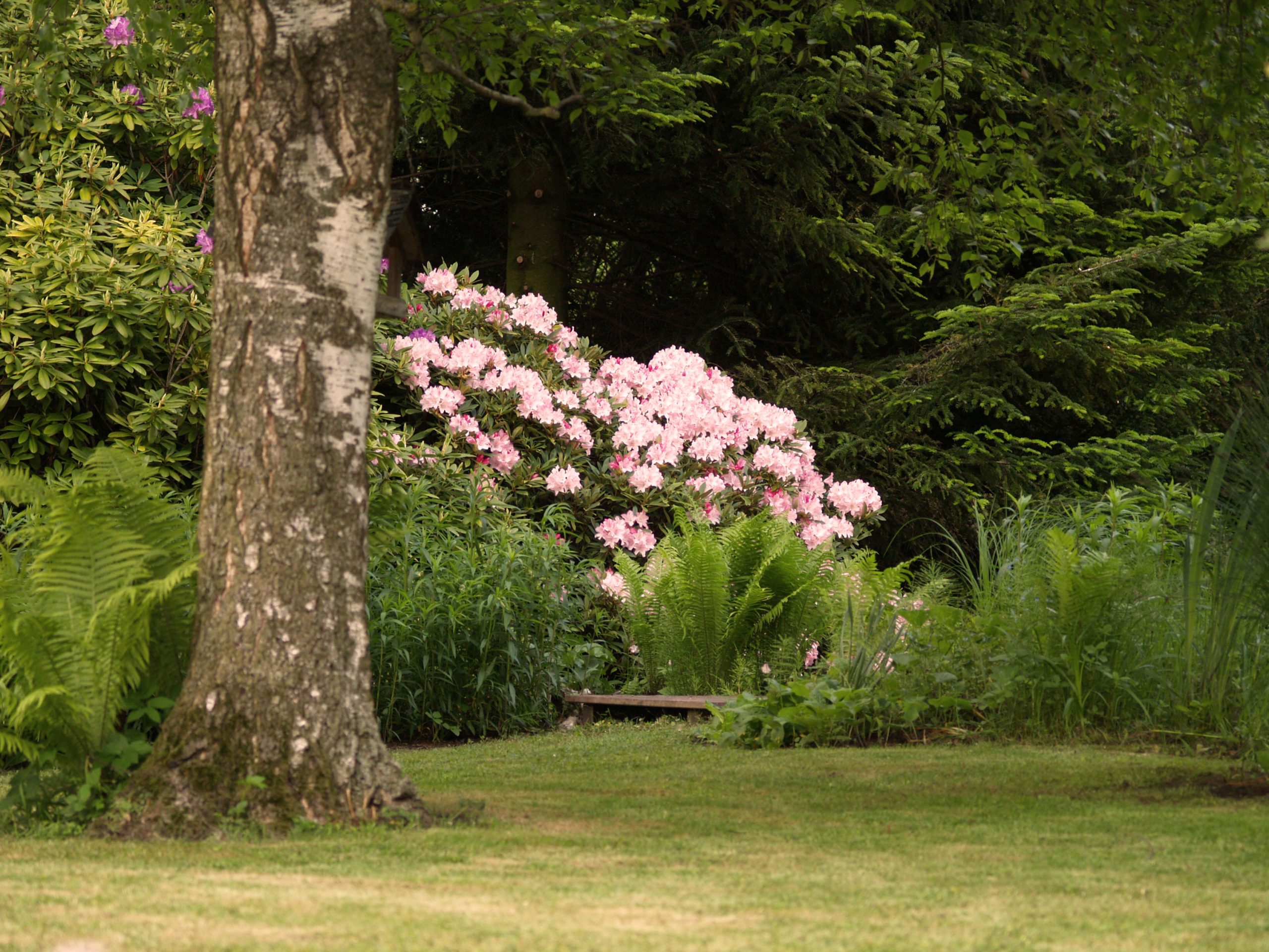Parkgarten_Erding_Baum_trendgruen_3000px
