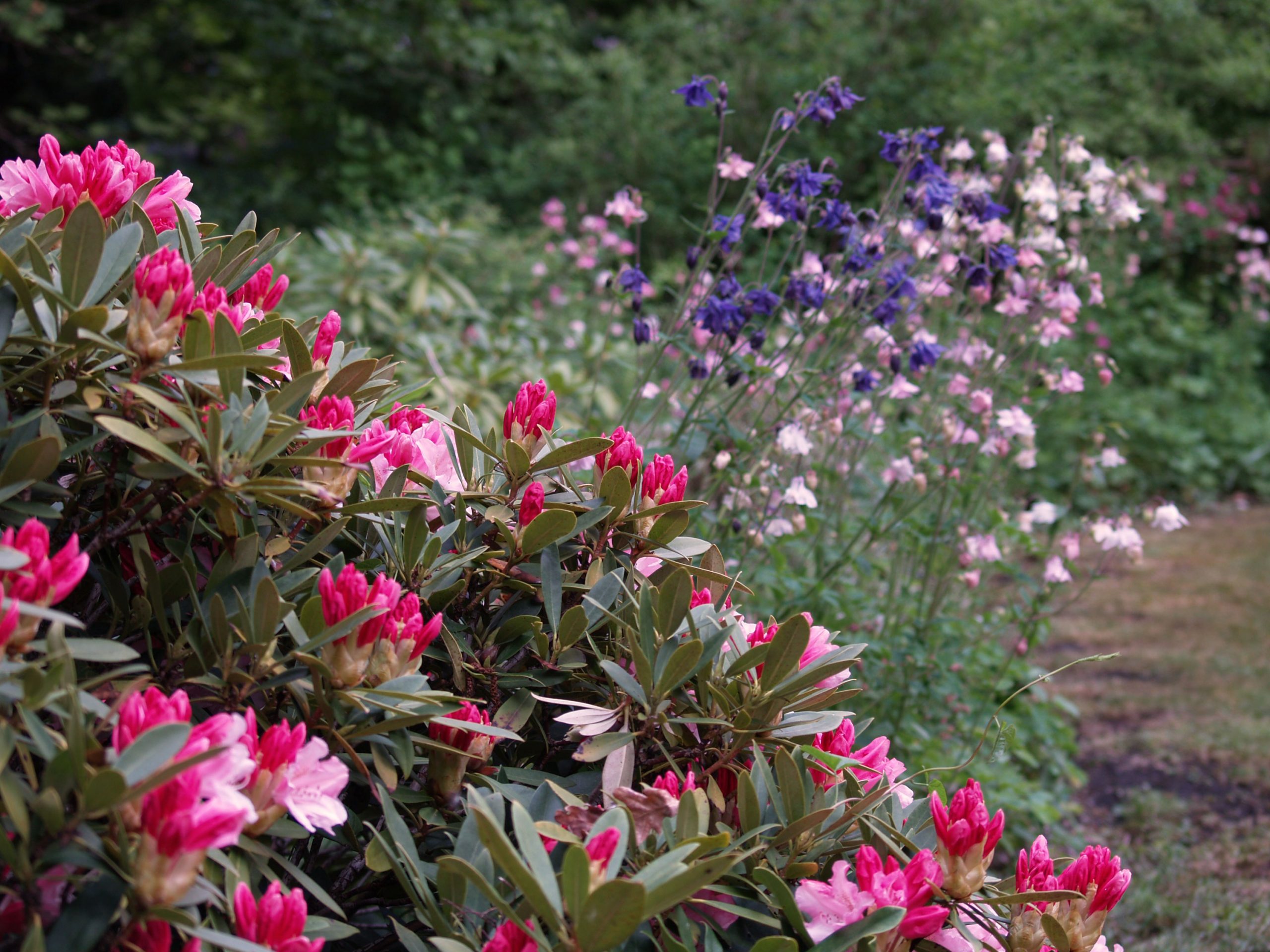 Parkgarten_Erding_Blumen_trendgruen_3000px