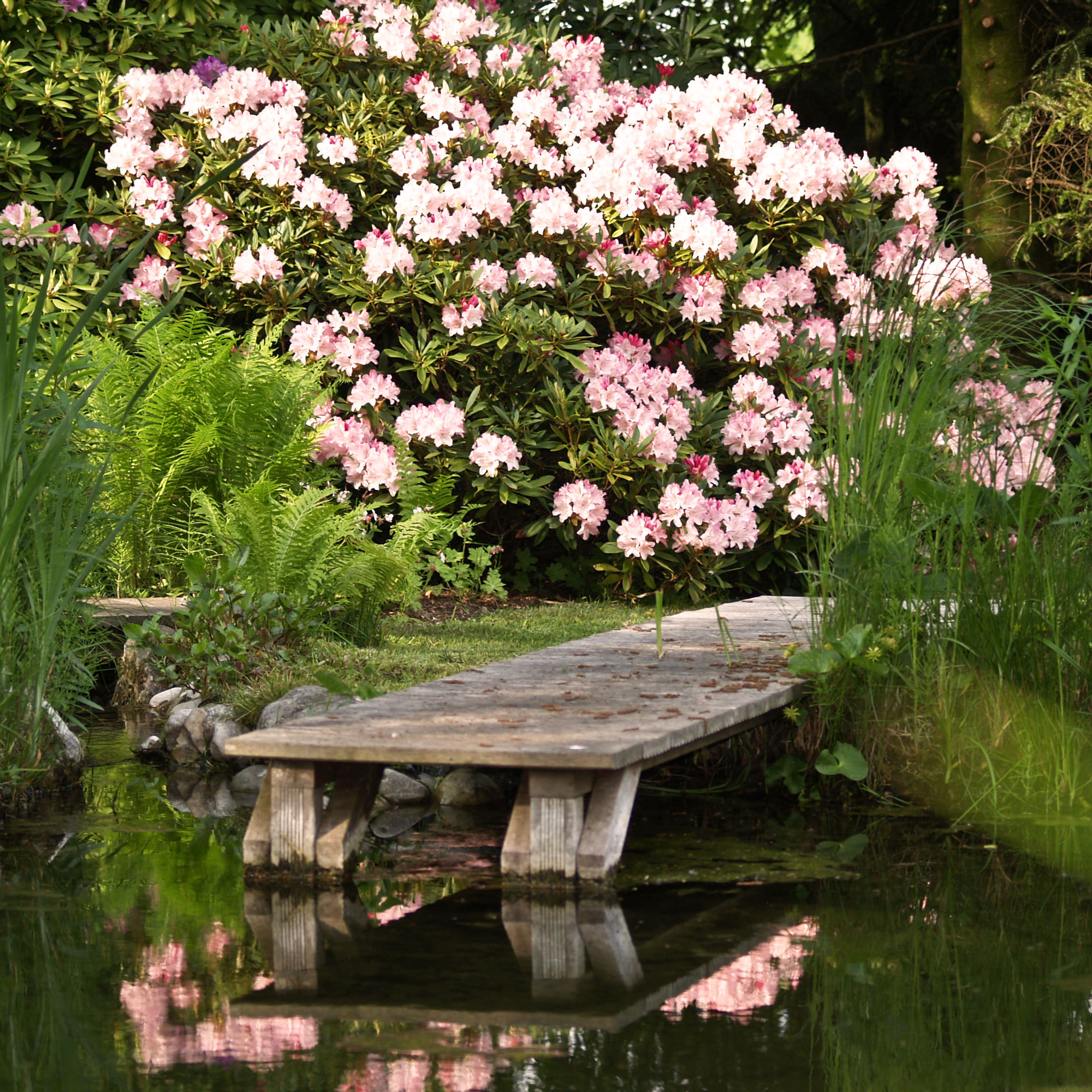 Parkgarten_Erding_Holzsteg_trendgruen_quadratisch