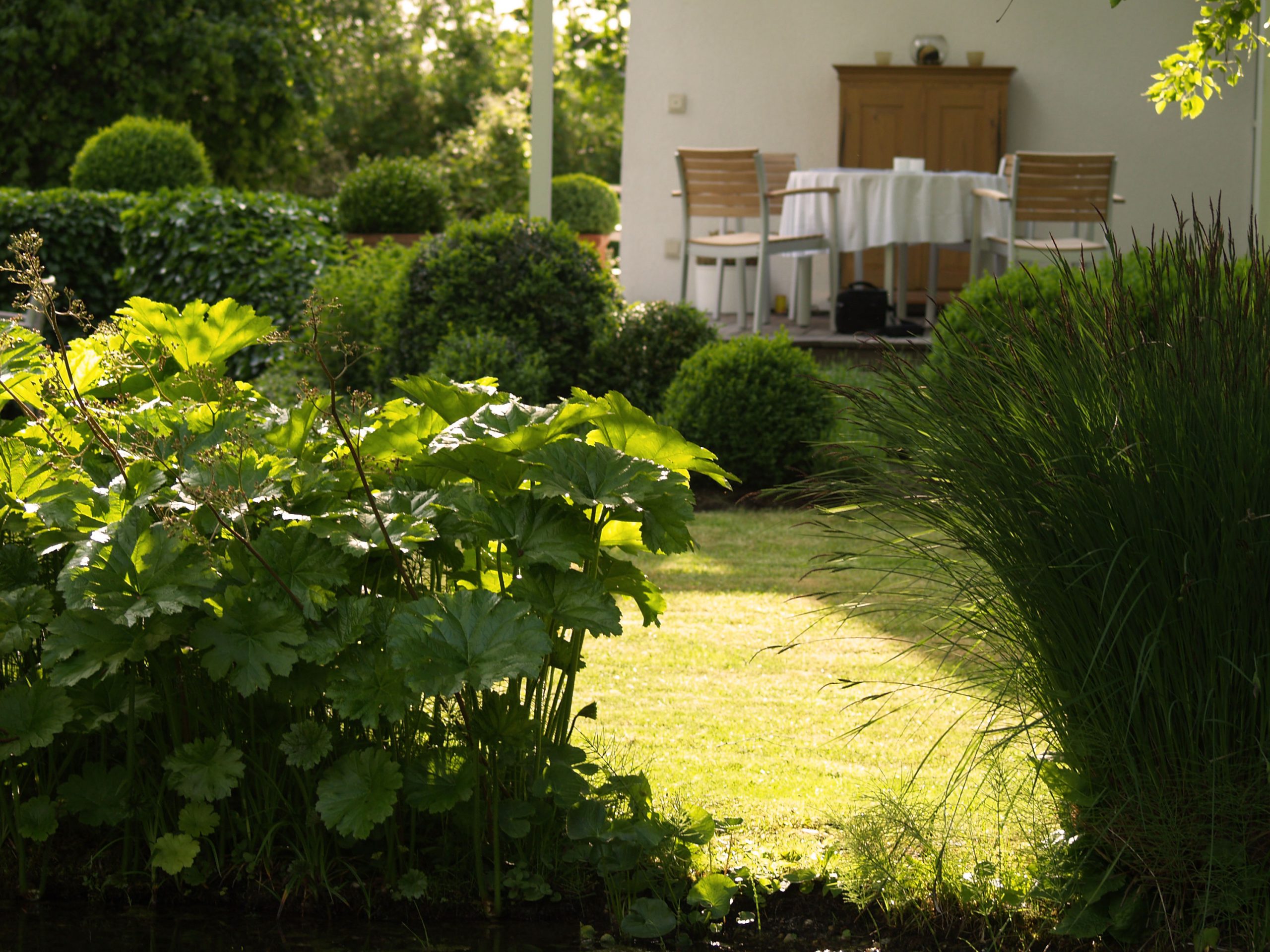 Parkgarten_Erding_Stauden_trendgruen_3000px