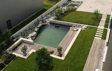 Sieht aus wie ein Pool ist aber ein Biotop.