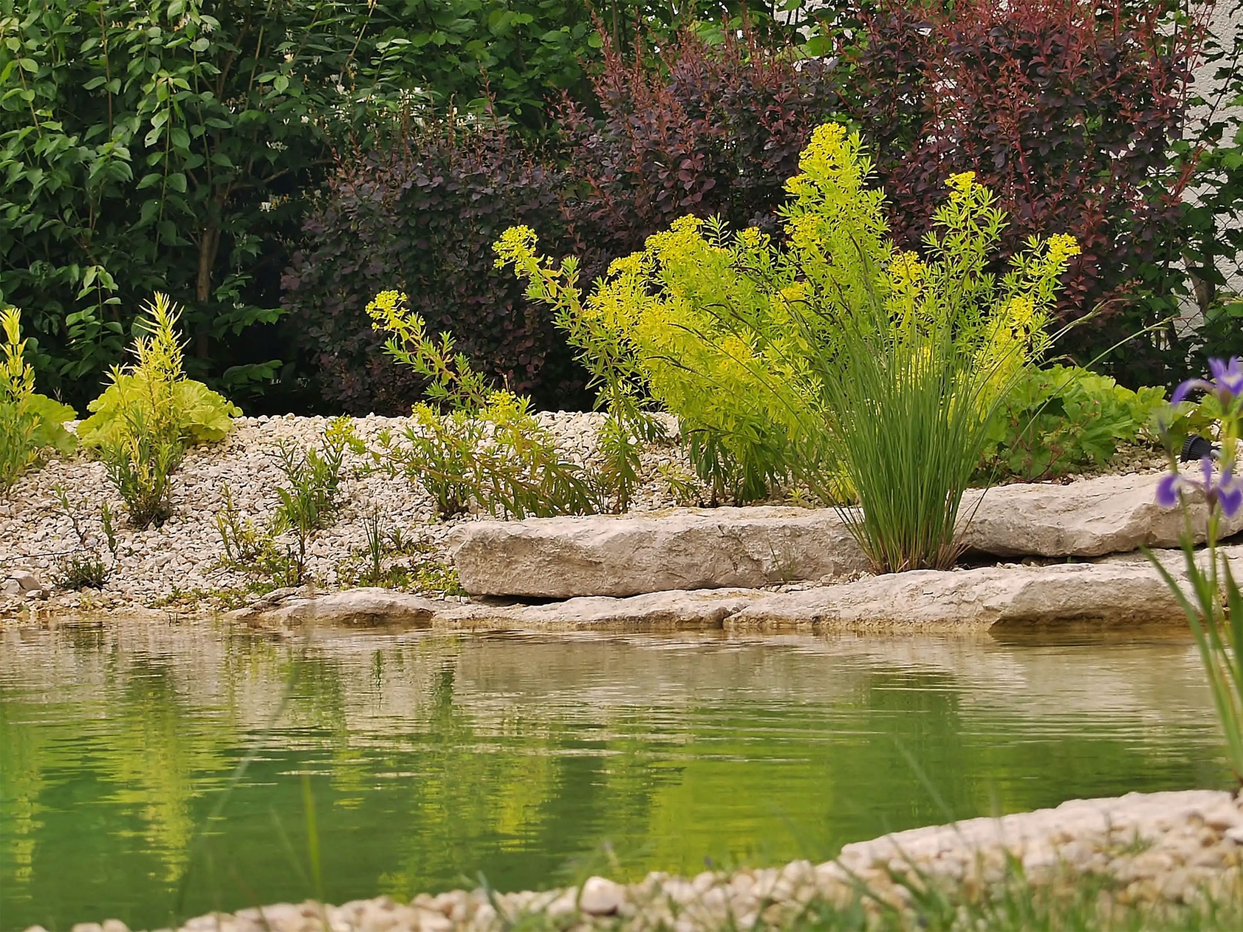 Badeteich_Bruckberg_fels_bepflanzung_0044_3000px