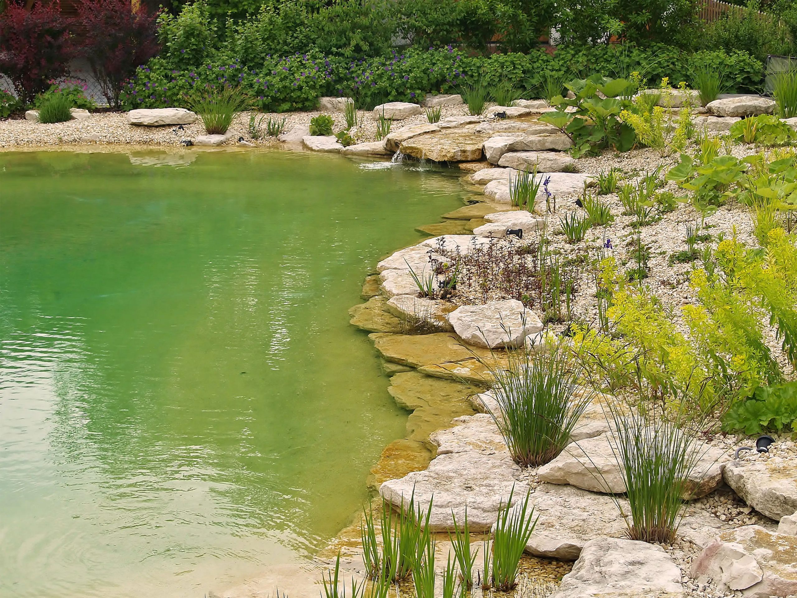 Badeteich_Bruckberg_fels_bepflanzung_0045_3000px