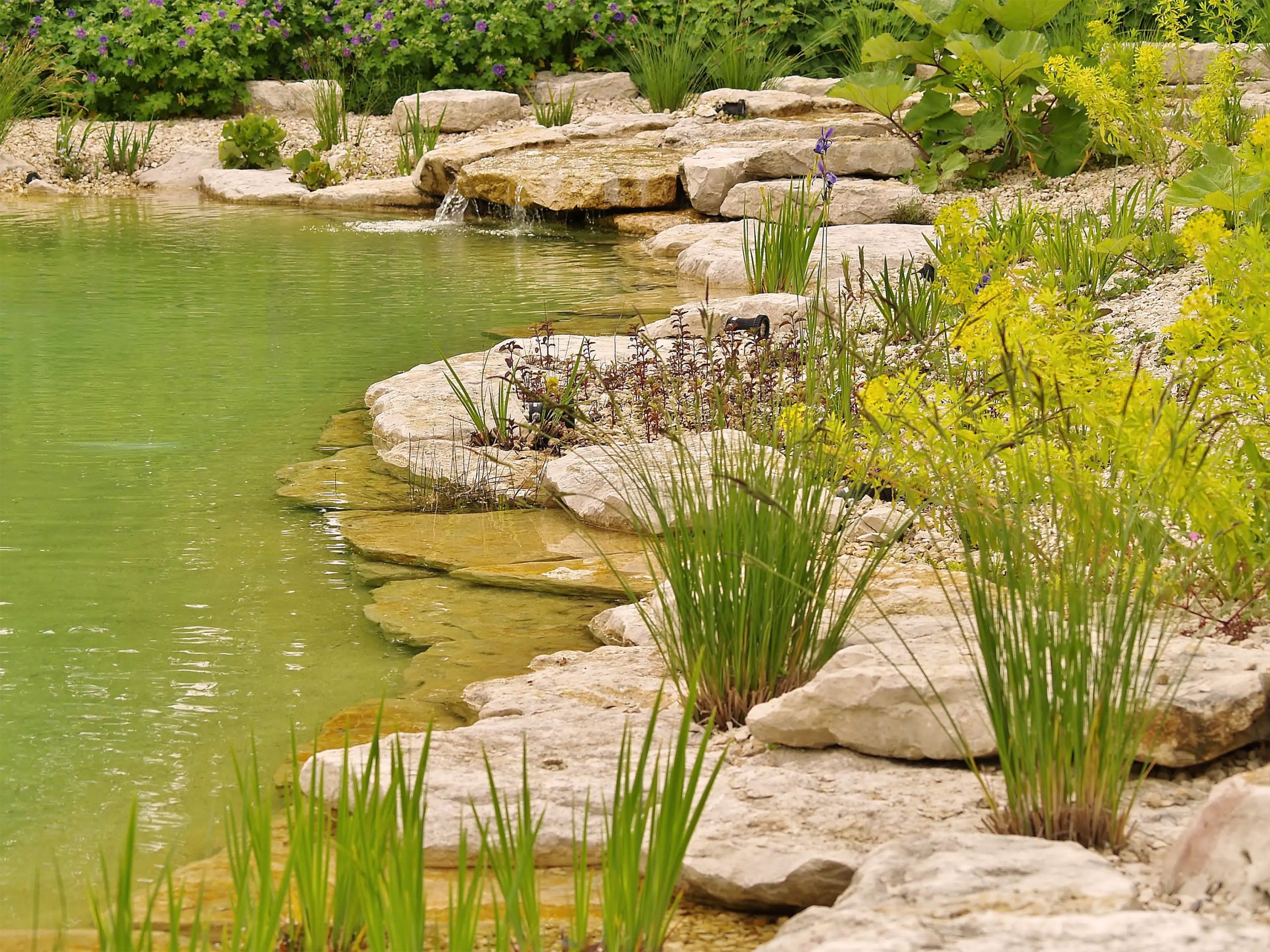 Badeteich_Bruckberg_fels_bepflanzung_0054_3000px