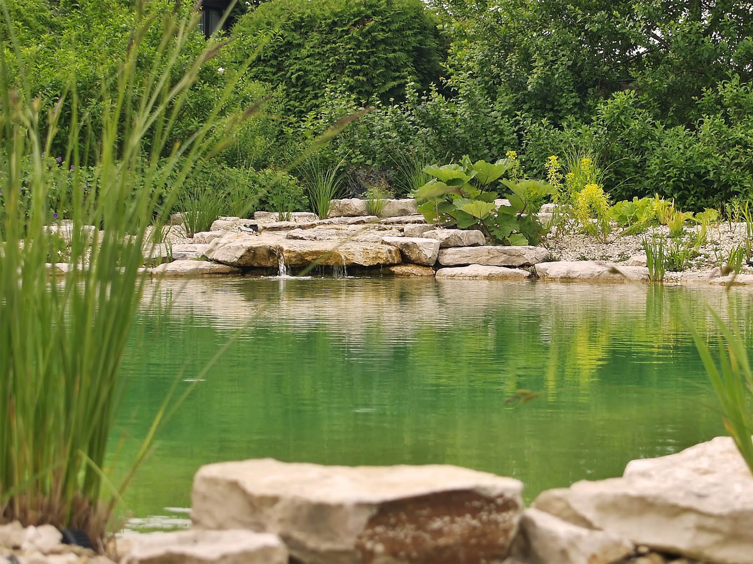 Badeteich_Bruckberg_wassereinlauf_0043_3000px