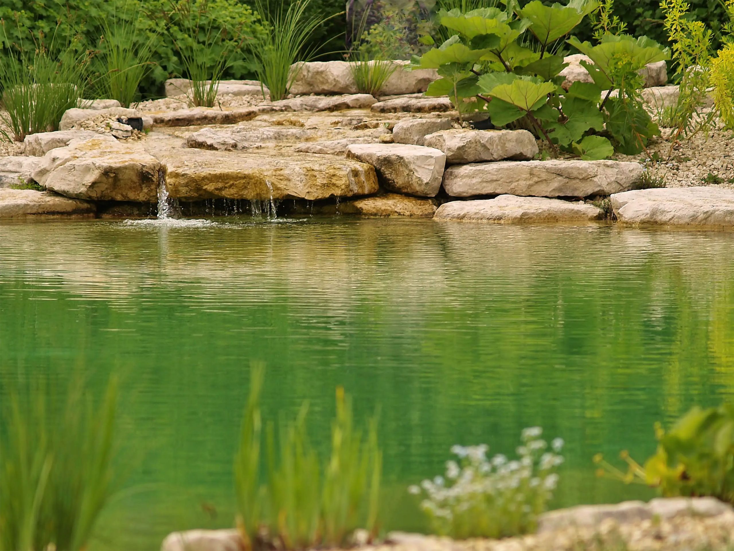 Badeteich_Bruckberg_wassereinlauf_0070_3000px