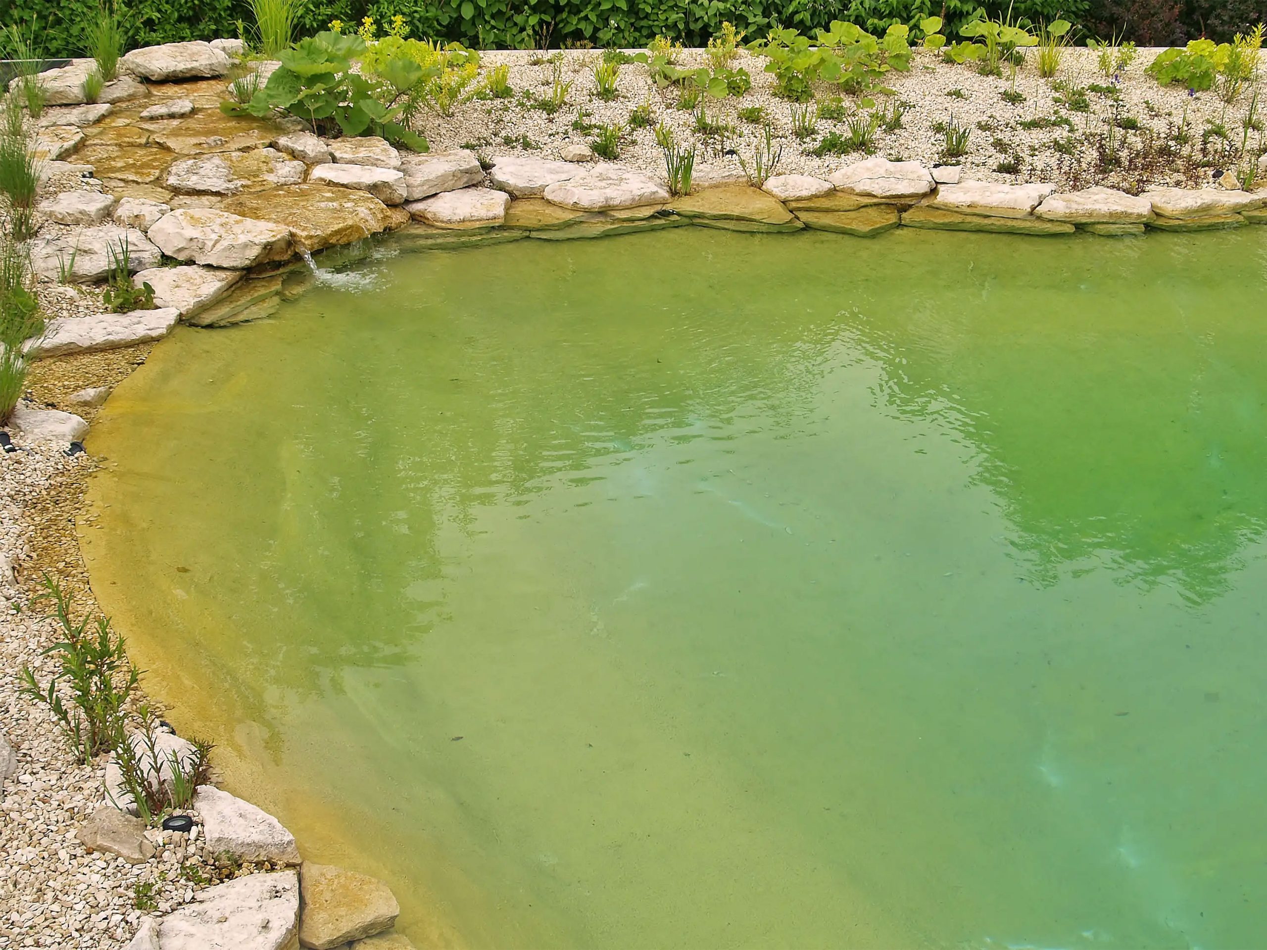 Badeteich_Bruckberg_wassereinlauf_gesamt_0069_3000px