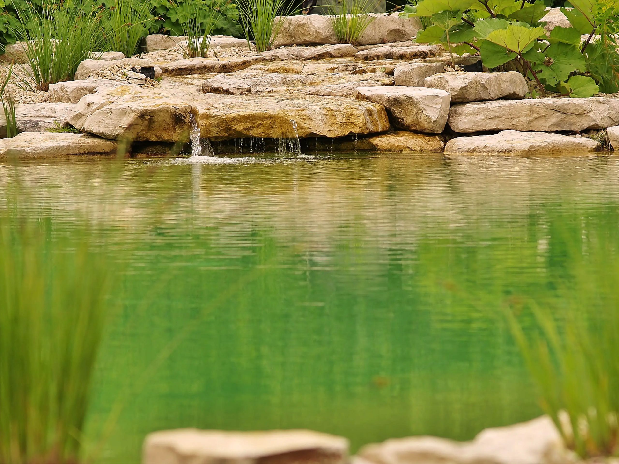 Badeteich_Bruckberg_wassereinlauf_wasserflaeche_0066_3000px