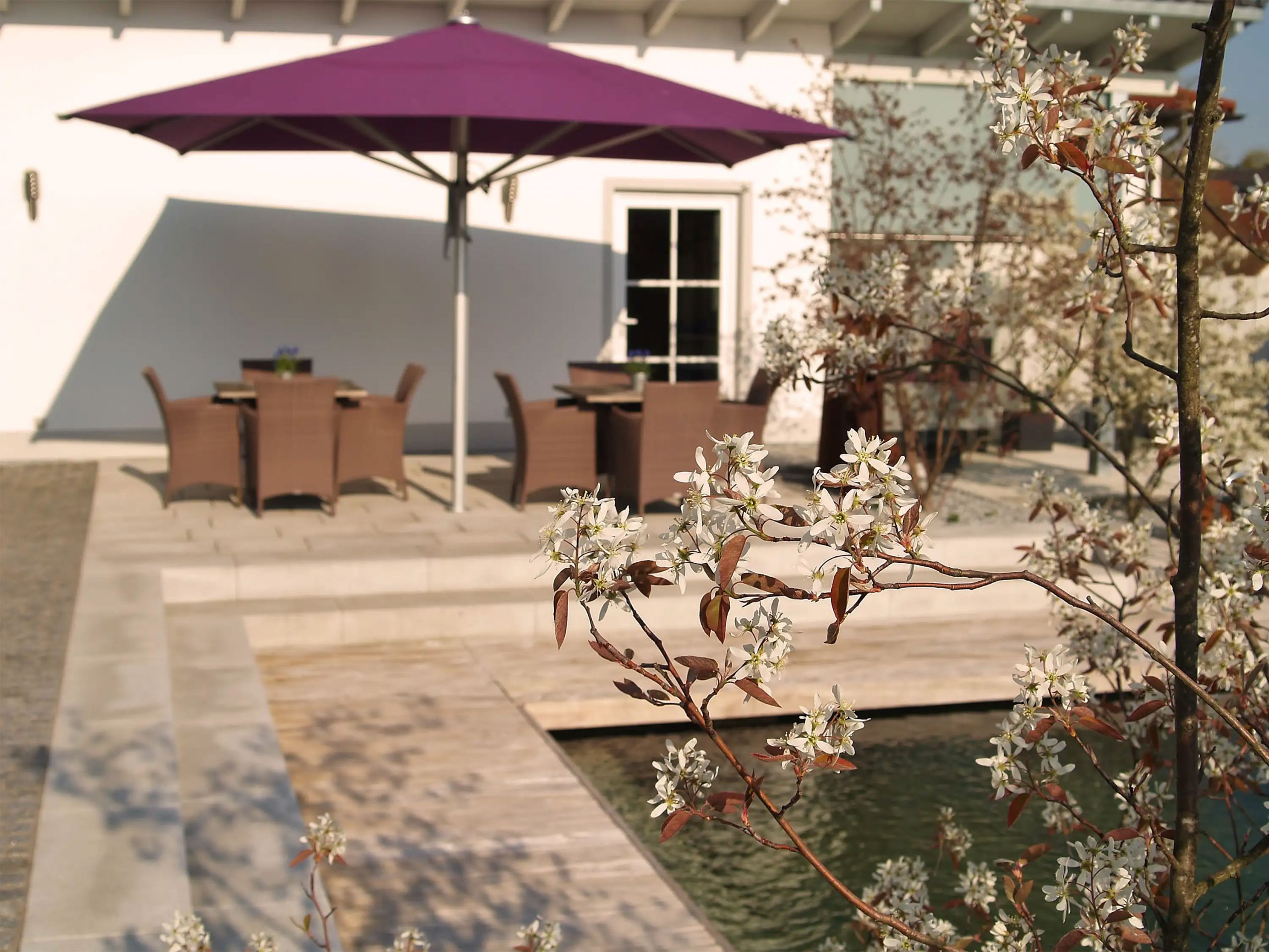 Badeteich_Geisenhausen_detail_Pflanze_TG_0016_3000px-3